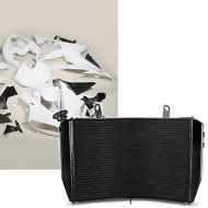 Set: Verkleidung für Yamaha YZF-R1 04-06 Zaddox ABS Vollverkleidung Rennverkleidung + Wasserkühler für Yamaha YZF-R1 04-06 Radiator Kühler_1