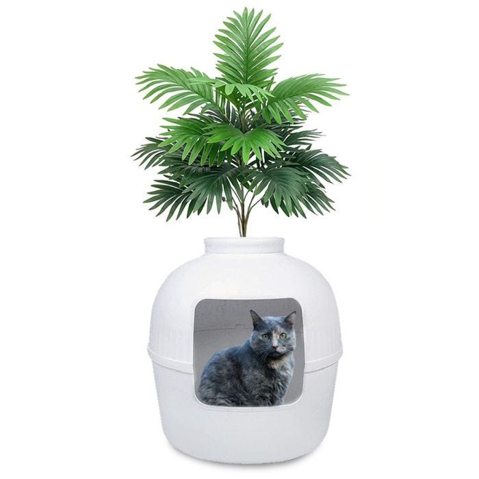 Plant cat box on sale