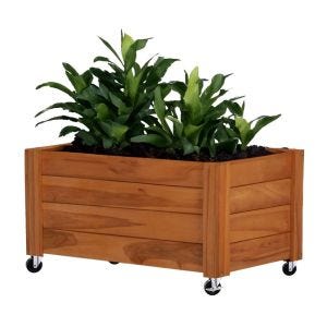 Plant pot on wheels Divit FC58 plant box raised bed wood 78 x 52 x 40.5 cm DPL2